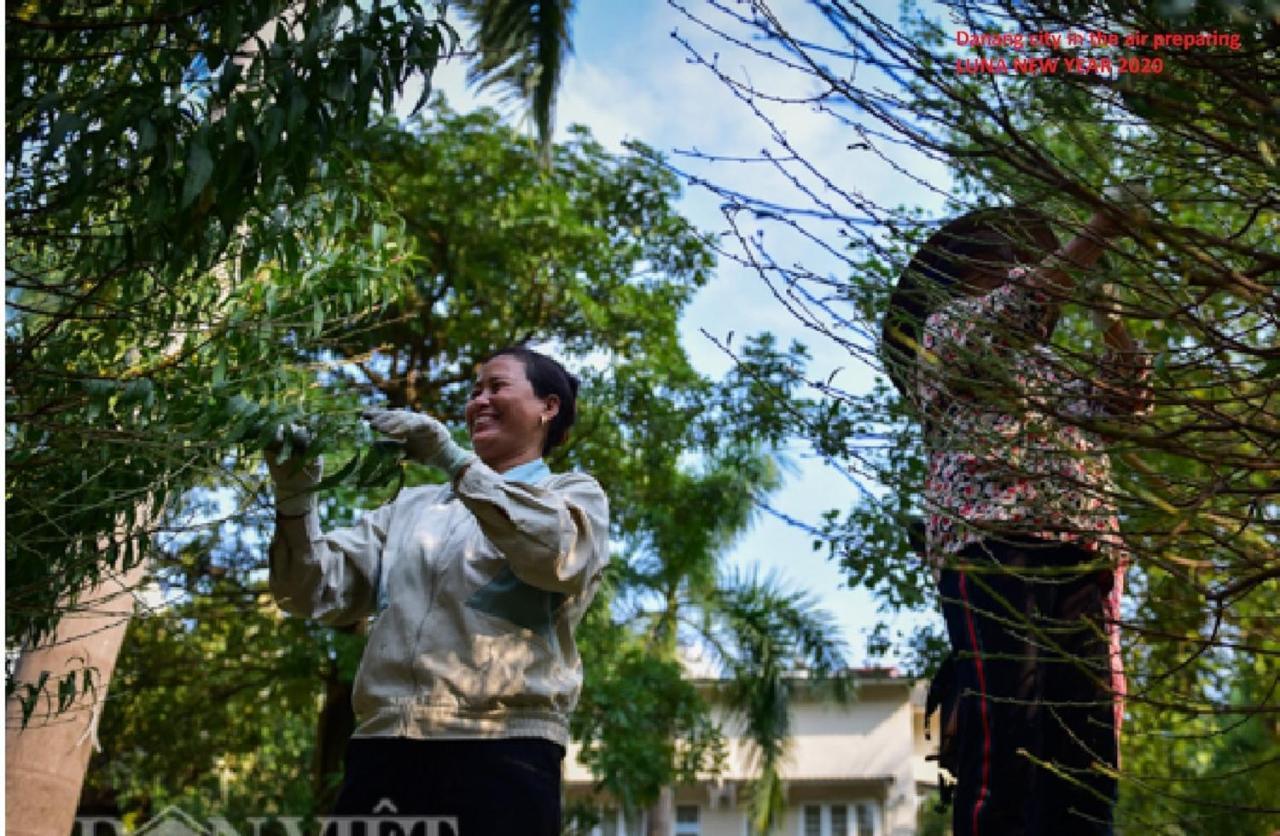 Da Nang Minh Hai Eksteriør billede